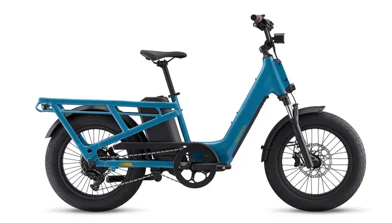 Momentum Cito E+ E-City Bike In Aquarium