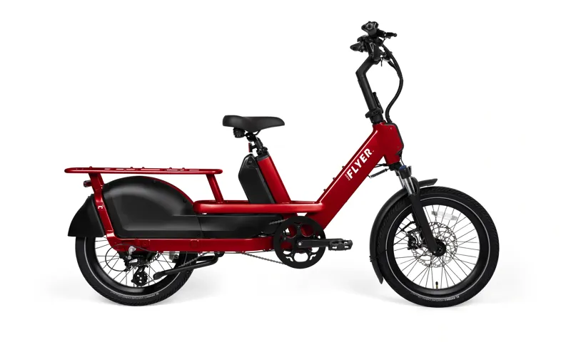 Radio Flyer Loop-3