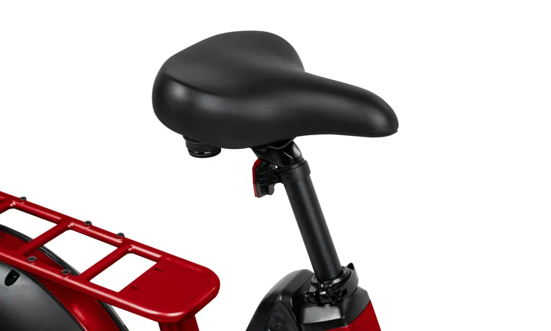 Radio Flyer Loop-10