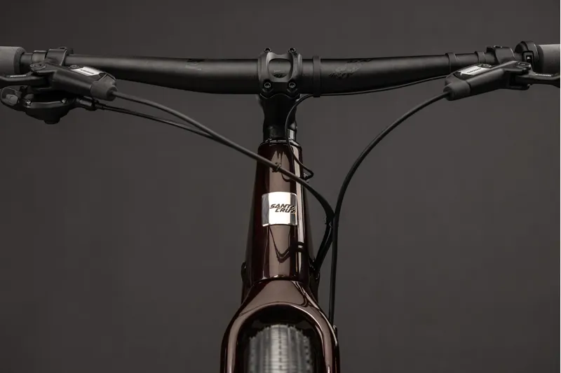 Santa Cruz Skitch Apex Flat Bar-10