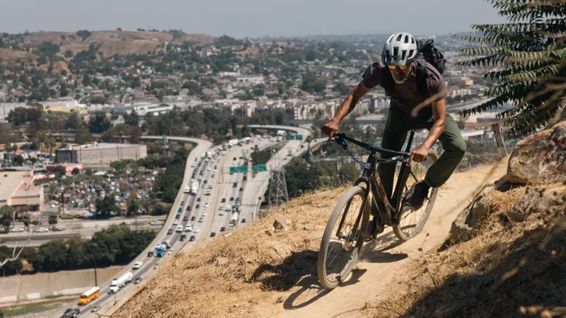 Santa Cruz Skitch Apex Flat Bar-2