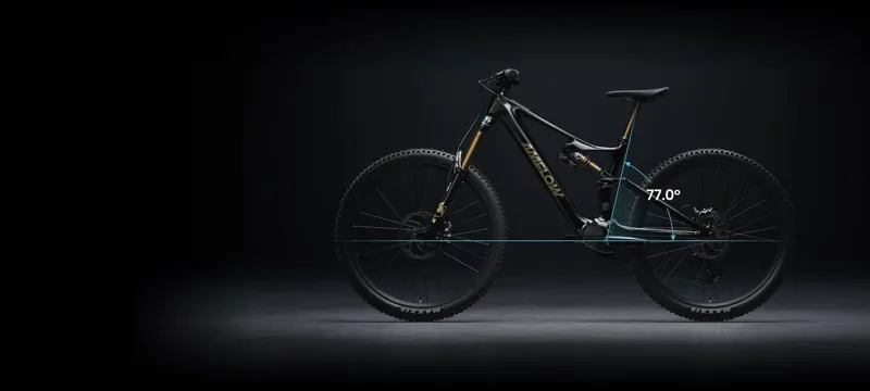 Amflow PL Carbon Electric Mountain Bike-1