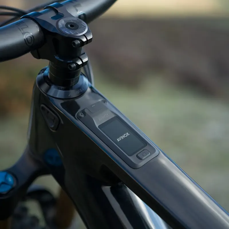 Amflow PL Carbon Pro E-MTB 800Wh L-1