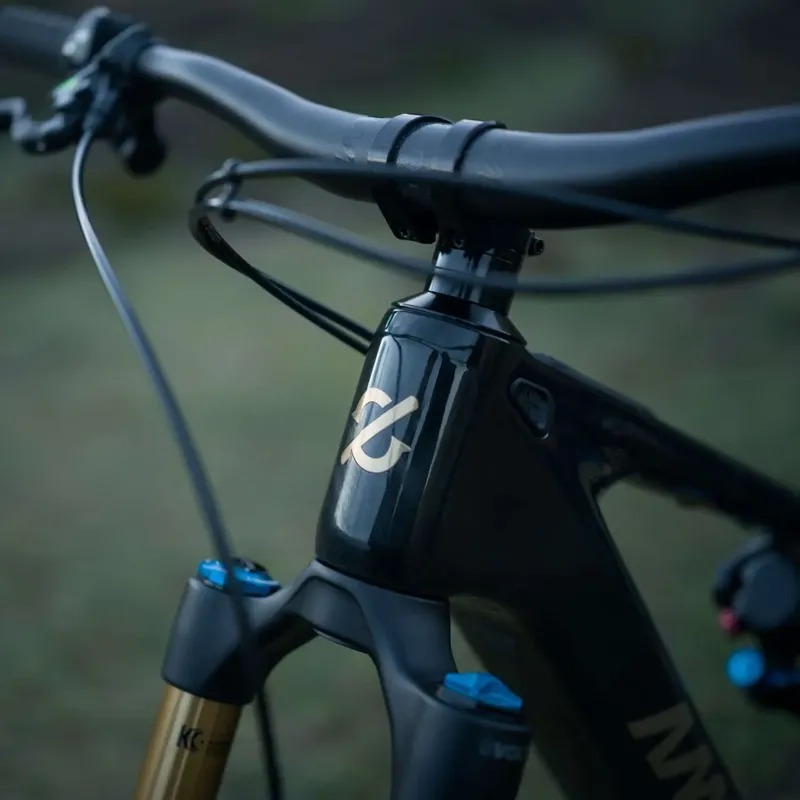 Amflow PL Carbon Pro E-MTB 800Wh L-2