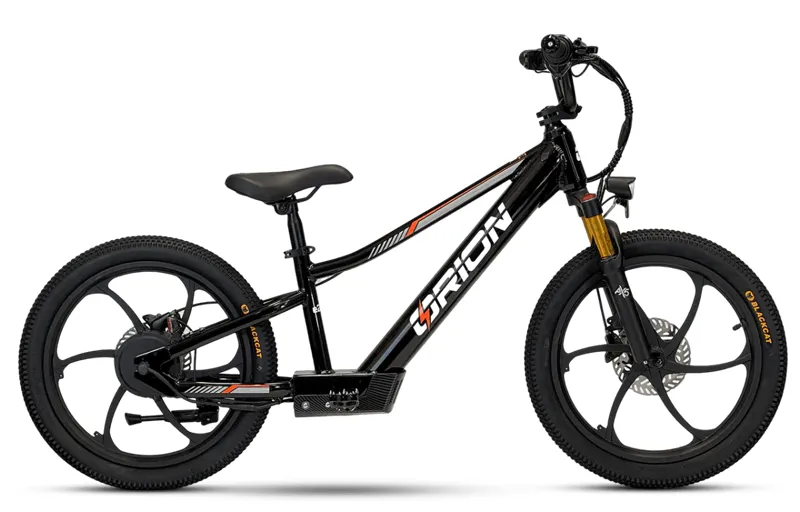 Orion E20X 20 inch 500W 48V Deluxe Electric Balance Bike