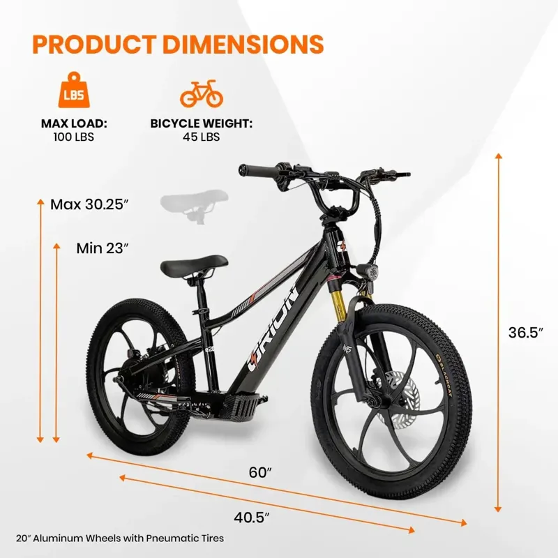Orion E20X 20 inch 500W 48V Deluxe Electric Balance Bike-1