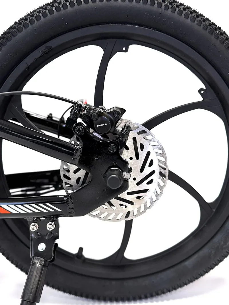 Orion E20X 20 inch 500W 48V Deluxe Electric Balance Bike-10