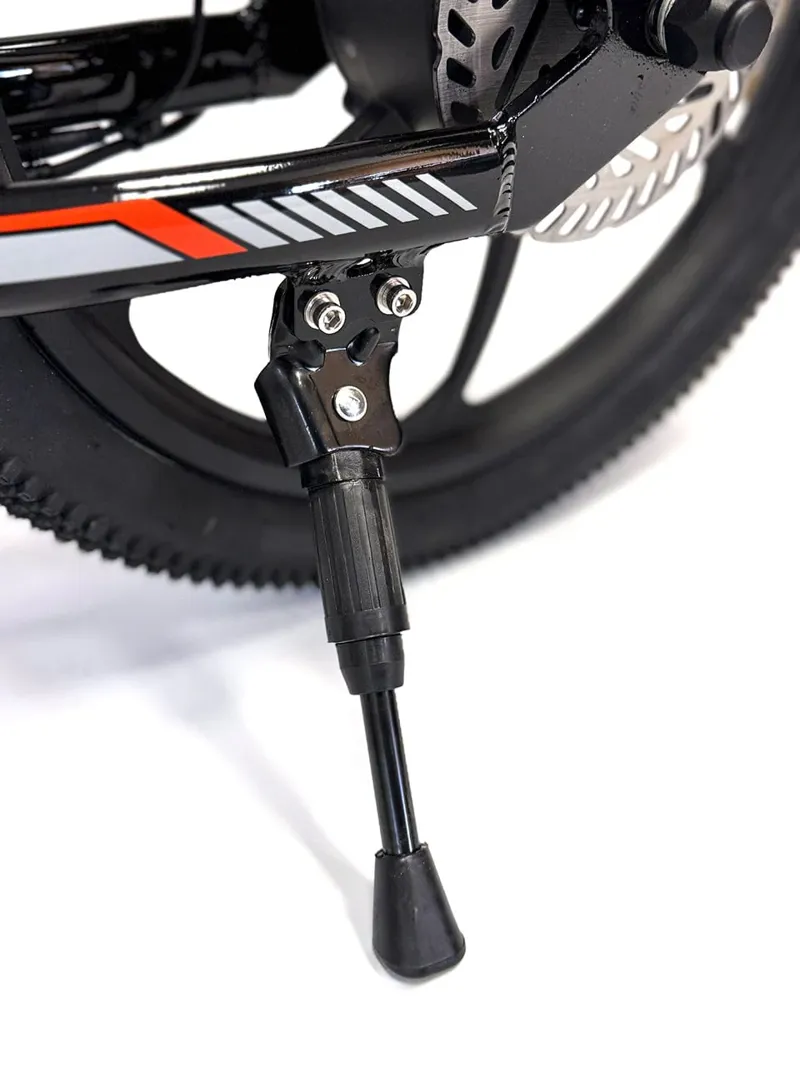 Orion E20X 20 inch 500W 48V Deluxe Electric Balance Bike-11