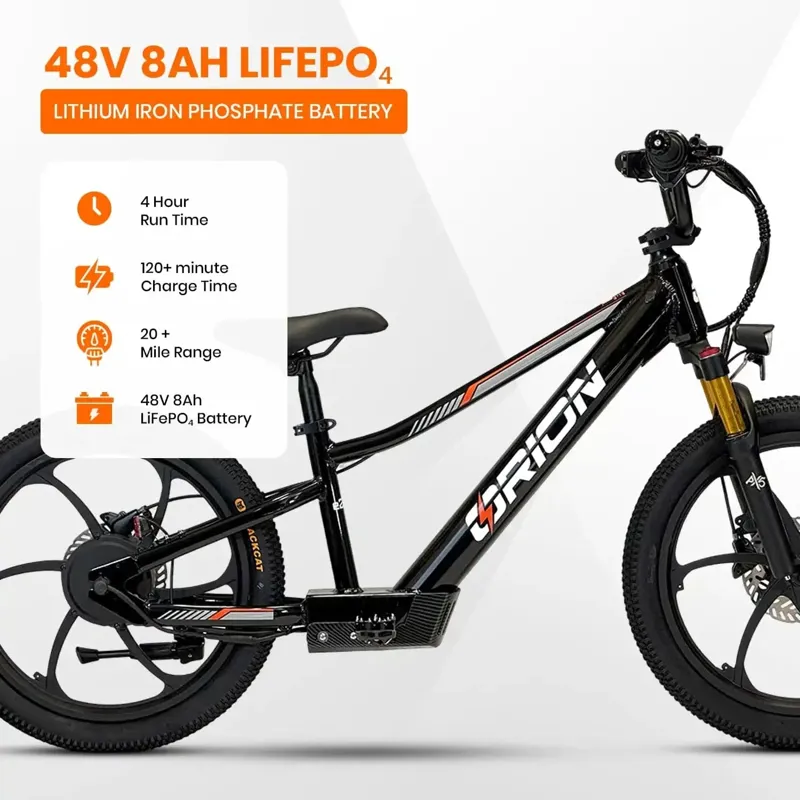 Orion E20X 20 inch 500W 48V Deluxe Electric Balance Bike-2