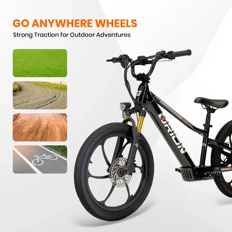 Orion E20X 20 inch 500W 48V Deluxe Electric Balance Bike-3