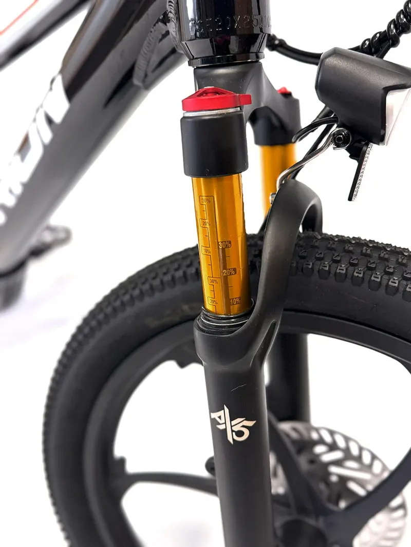 Orion E20X 20 inch 500W 48V Deluxe Electric Balance Bike-5