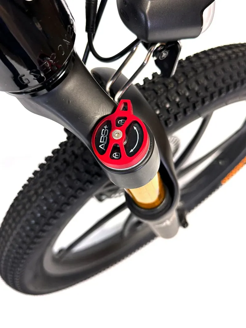 Orion E20X 20 inch 500W 48V Deluxe Electric Balance Bike-6