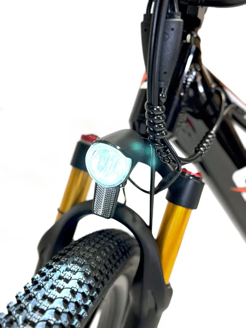 Orion E20X 20 inch 500W 48V Deluxe Electric Balance Bike-7