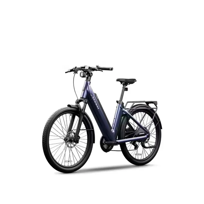 Segway Myon Electric Bike-1