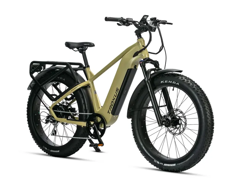 Troxus Explorer Plus MIK Step-Over Electric Bike-1