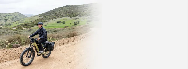 Troxus Explorer Plus MIK Step-Over Electric Bike-13