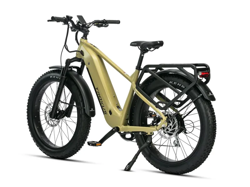 Troxus Explorer Plus MIK Step-Over Electric Bike-2