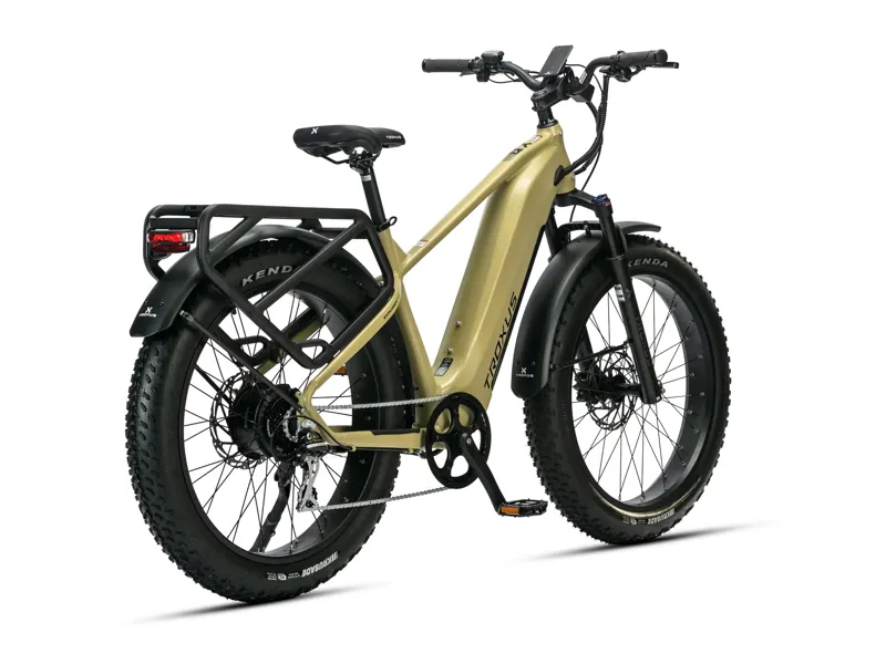 Troxus Explorer Plus MIK Step-Over Electric Bike-3