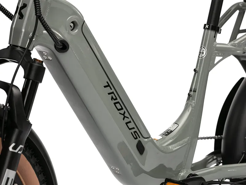 Troxus Lynx 2-Up eBike - Grey-4