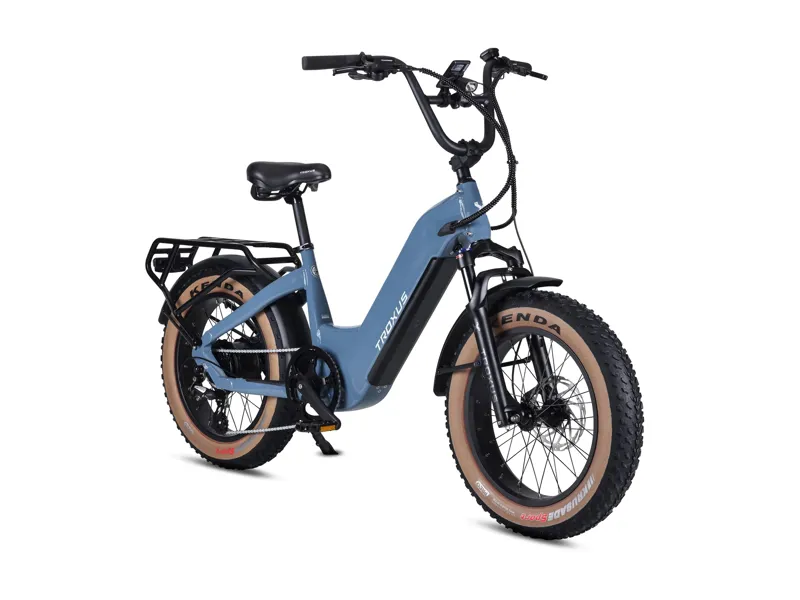 Troxus Lynx Plus E-Bike-1