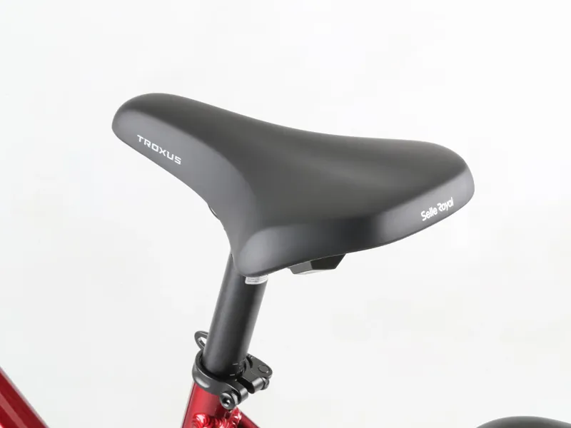 Troxus Trax Mid-Drive E-Bike-9